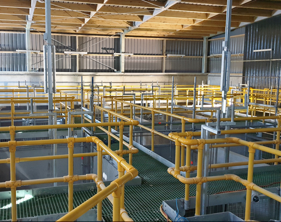 Access Equipment, walkways & machine guarding